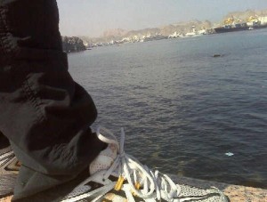 1931105_31423549819_3404_n (1)