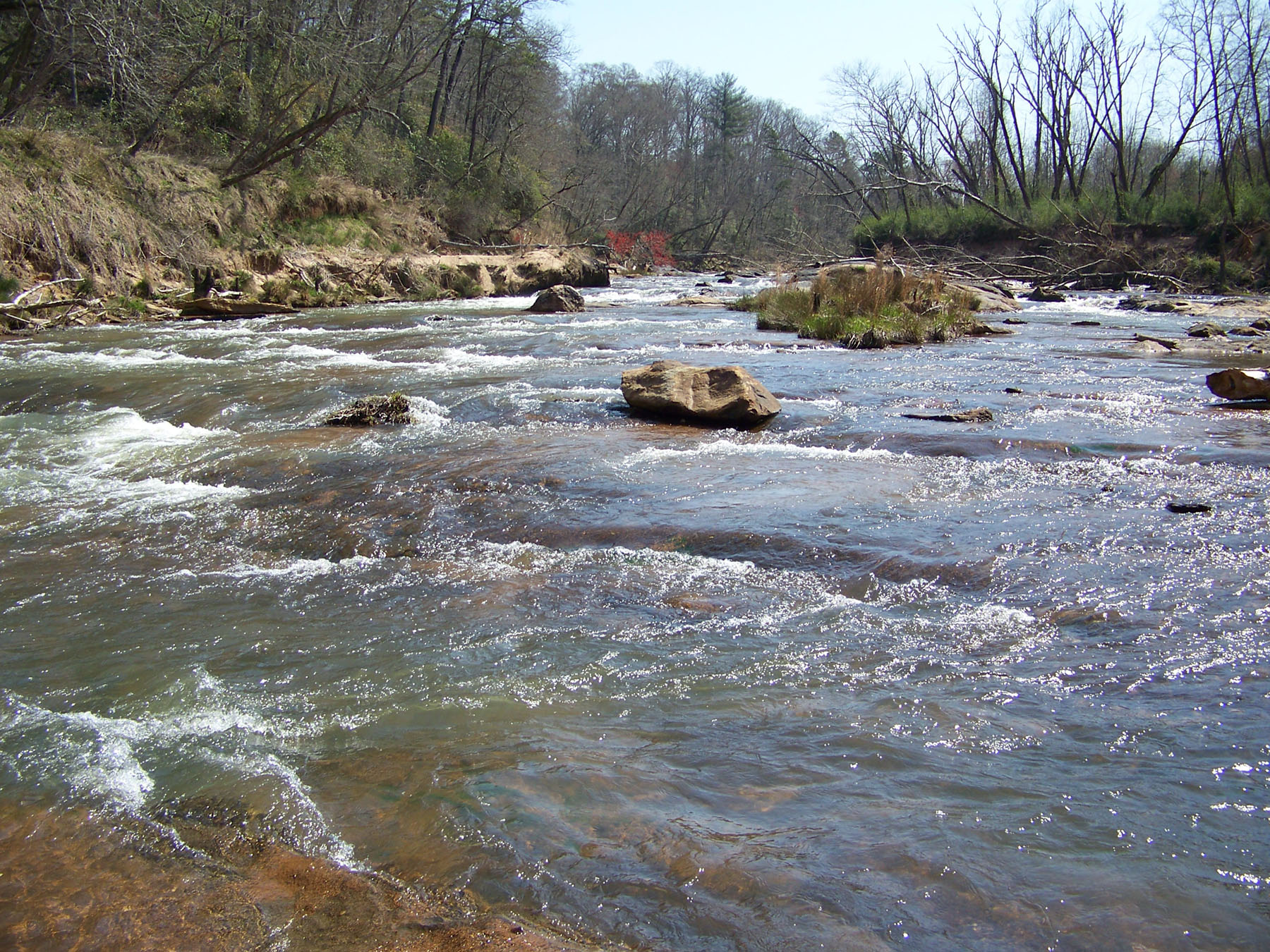 My One and Only 2016 Political Endorsement