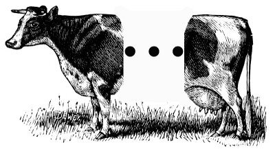 Straining to See Answers in an Ellipsis